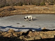 10 Nina passeggia su pozza ghiacciata 